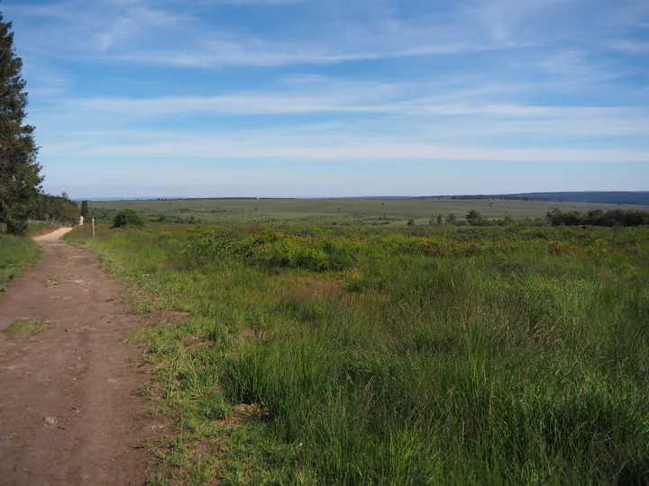 Signal de Botrange (België)